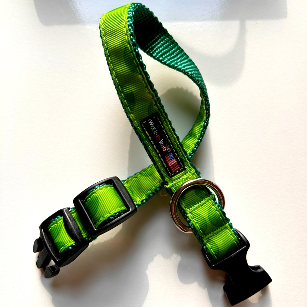 Spring dog collar with tone on tone green dots